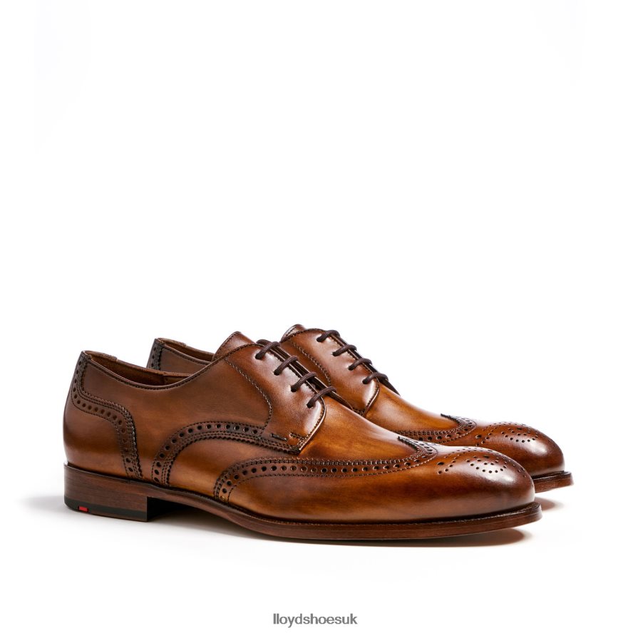 LLOYD Men SHERIDAN H4BXXT205 Shoes brown