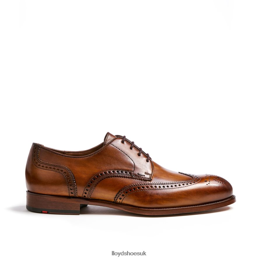 LLOYD Men SHERIDAN H4BXXT205 Shoes brown