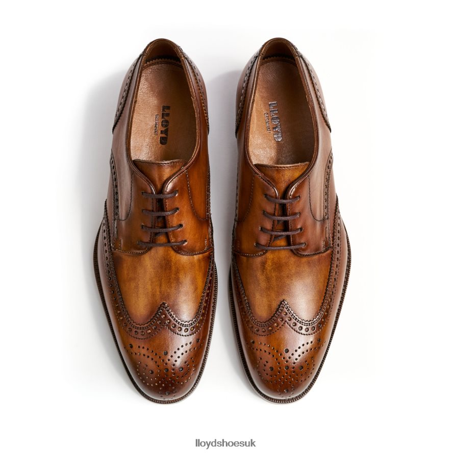 LLOYD Men SHERIDAN H4BXXT205 Shoes brown