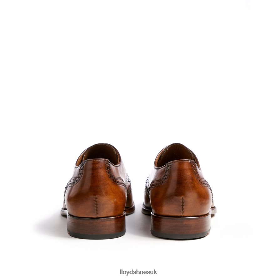 LLOYD Men SHERIDAN H4BXXT205 Shoes brown