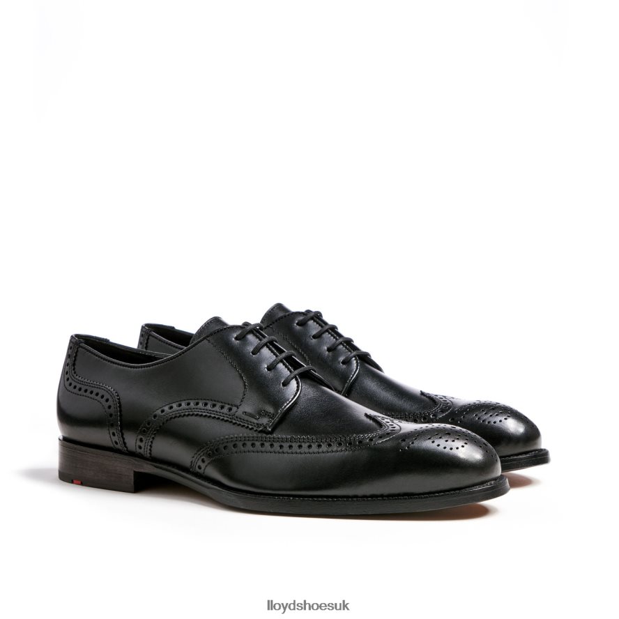 LLOYD Men SHERIDAN H4BXXT79 Shoes black