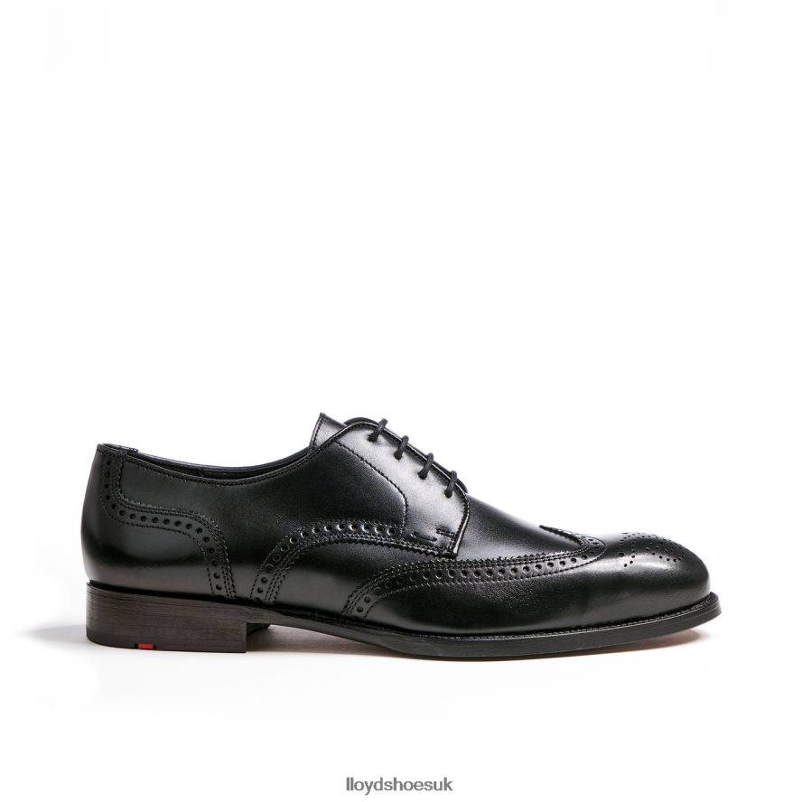LLOYD Men SHERIDAN H4BXXT79 Shoes black
