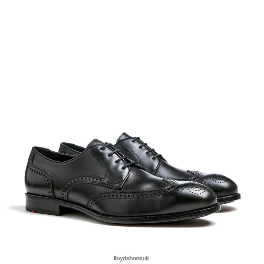 LLOYD Men STAFFORD H4BXXT68 Shoes black