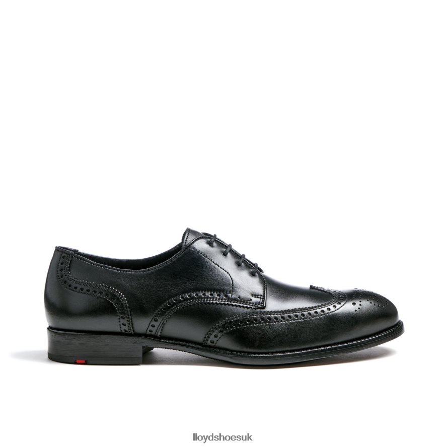 LLOYD Men STAFFORD H4BXXT68 Shoes black