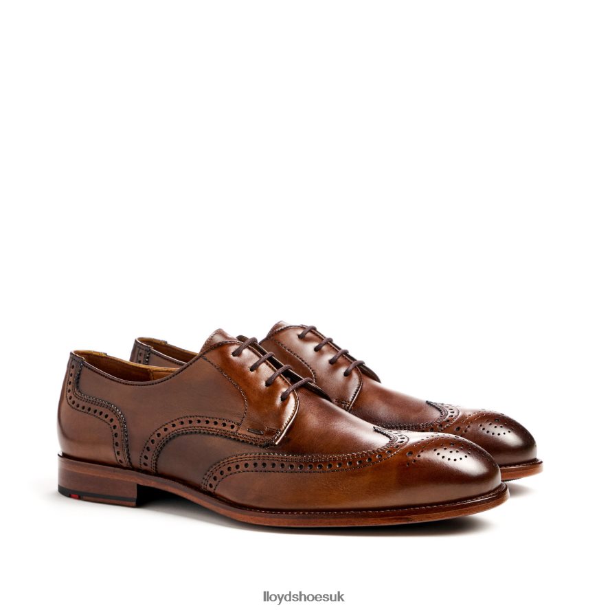 LLOYD Men STAFFORD H4BXXT69 Shoes brown