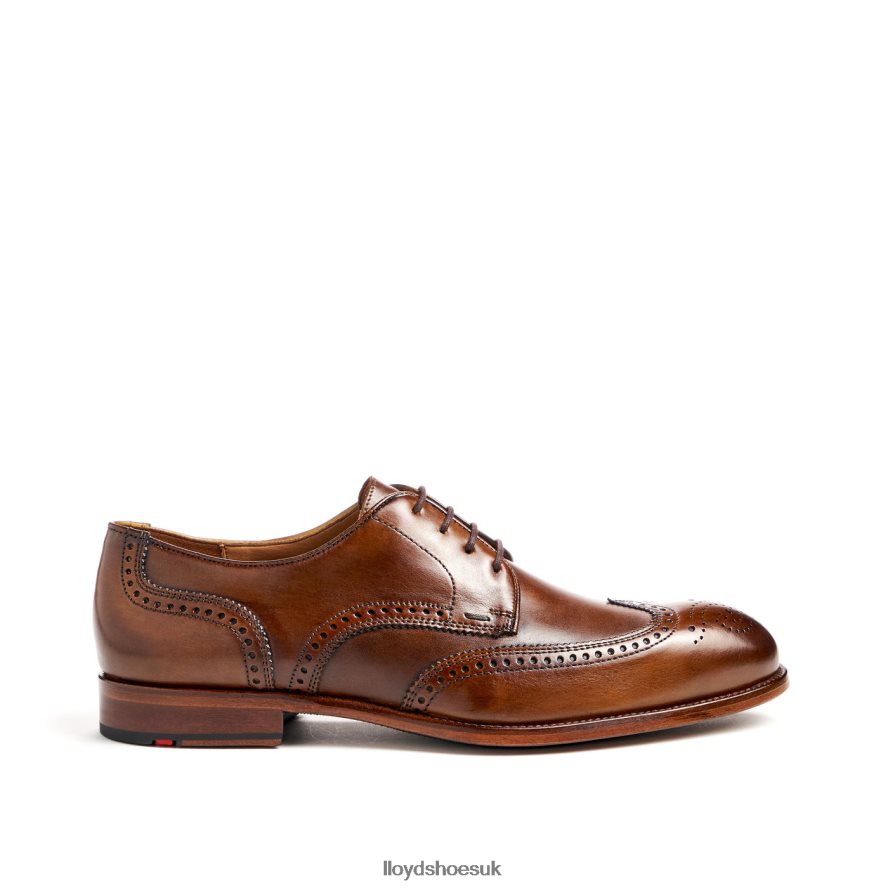 LLOYD Men STAFFORD H4BXXT69 Shoes brown