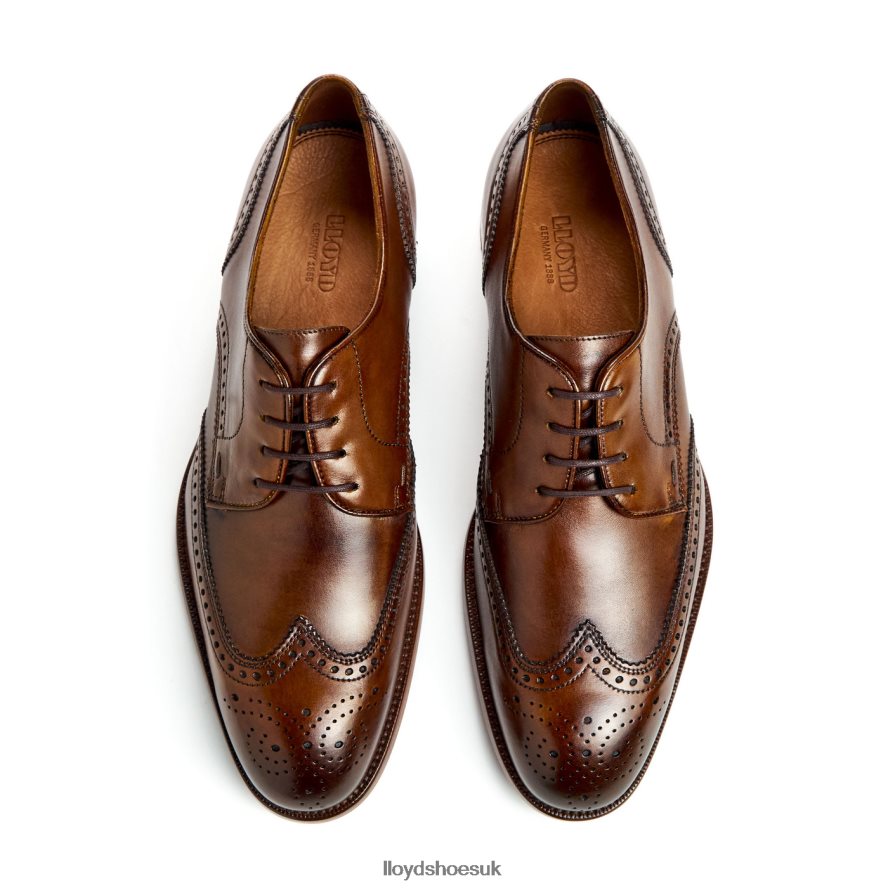 LLOYD Men STAFFORD H4BXXT69 Shoes brown