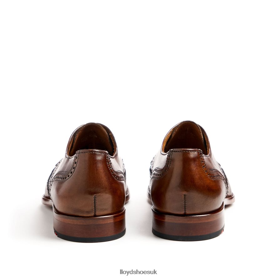 LLOYD Men STAFFORD H4BXXT69 Shoes brown