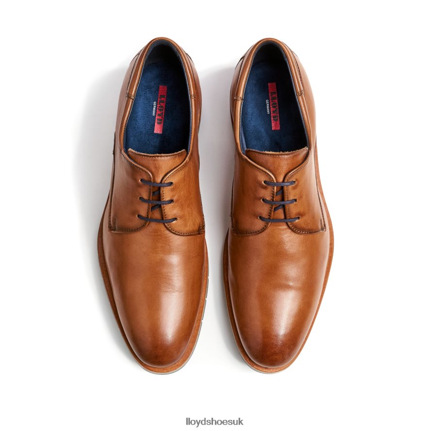 LLOYD Men TAMBO H4BXXT23 Shoes brown