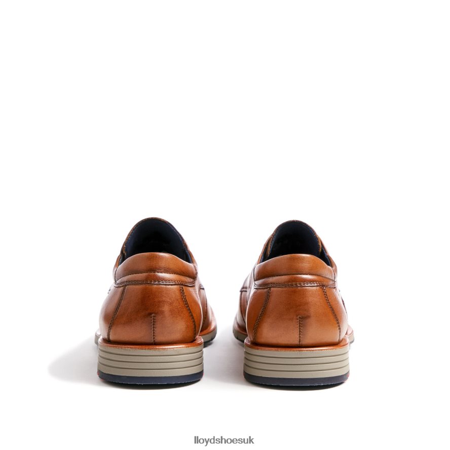 LLOYD Men TAMBO H4BXXT23 Shoes brown
