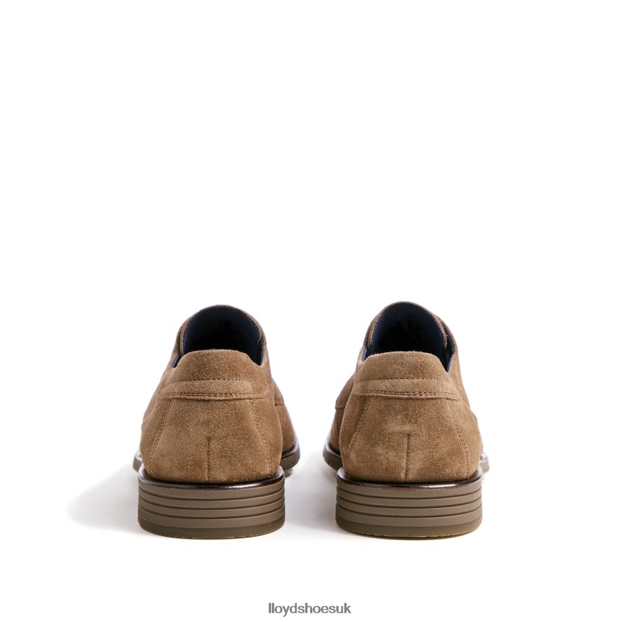 LLOYD Men TAMBO H4BXXT92 Shoes brown