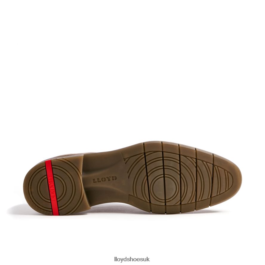 LLOYD Men TAMBO H4BXXT92 Shoes brown