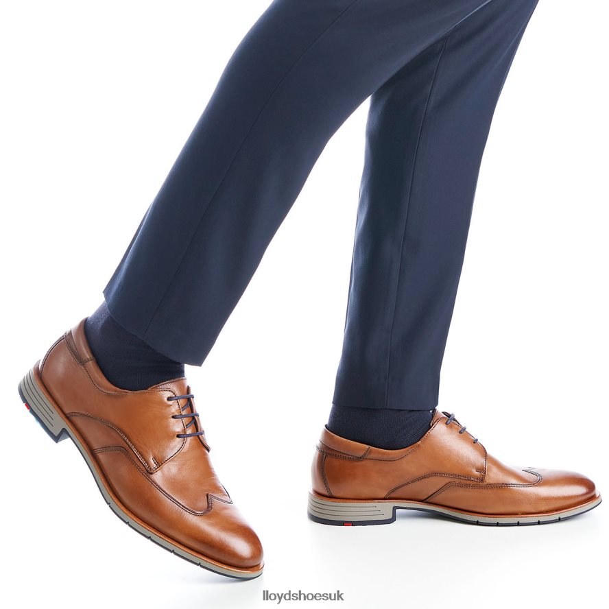 LLOYD Men TAYLOR H4BXXT1325 Shoes brown