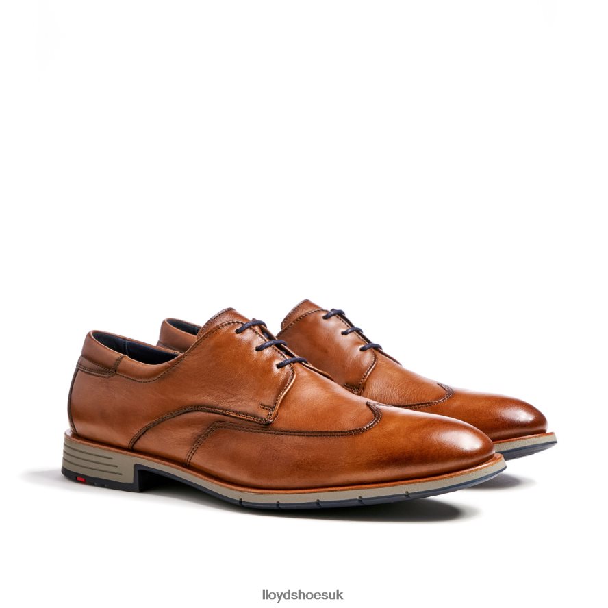 LLOYD Men TAYLOR H4BXXT1325 Shoes brown