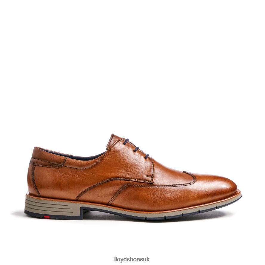 LLOYD Men TAYLOR H4BXXT1325 Shoes brown