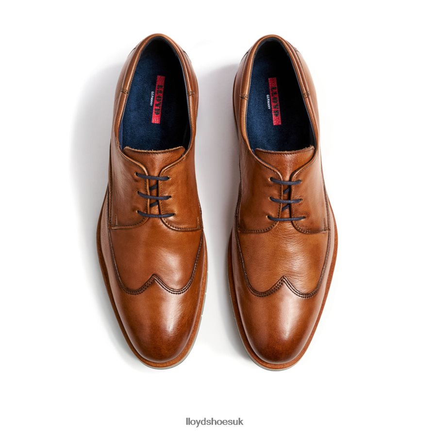 LLOYD Men TAYLOR H4BXXT1325 Shoes brown