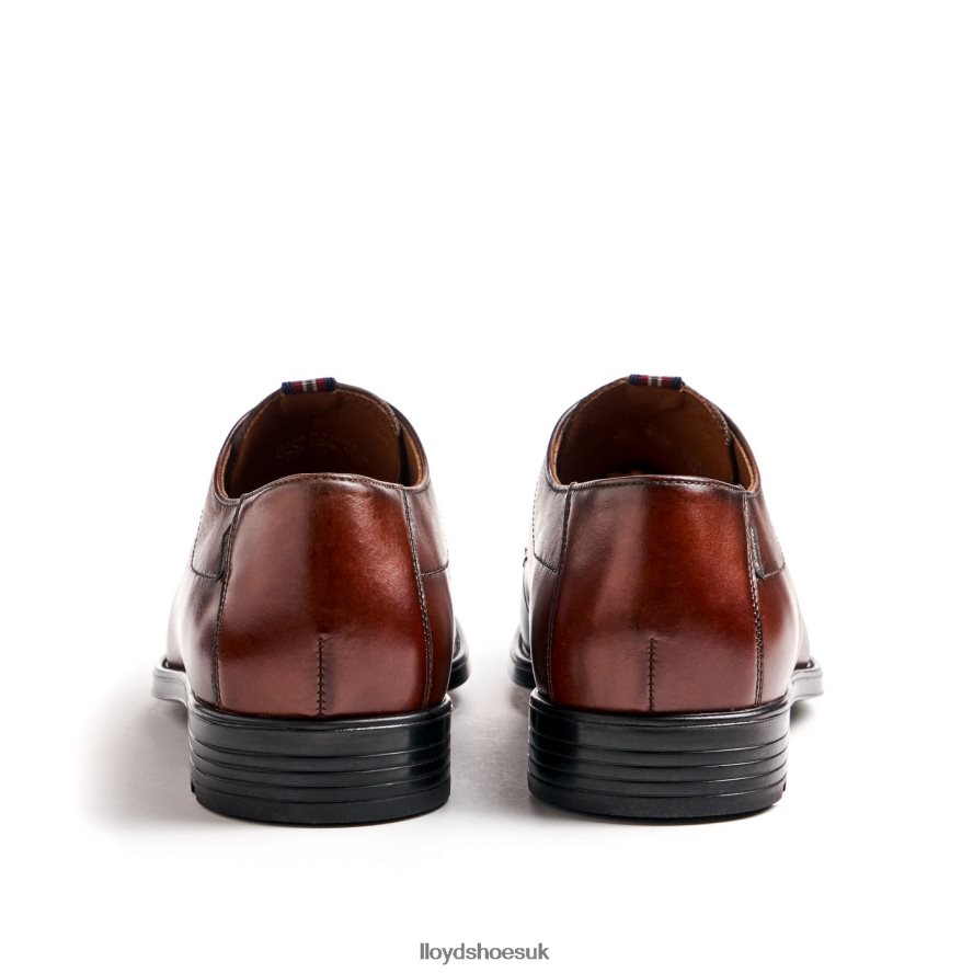 LLOYD Men VALMARY H4BXXT22 Shoes brown