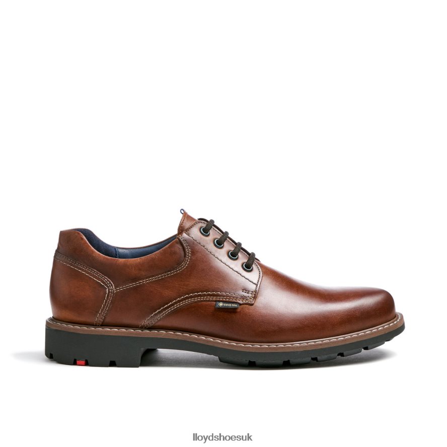 LLOYD Men VANJA H4BXXT125 Shoes brown