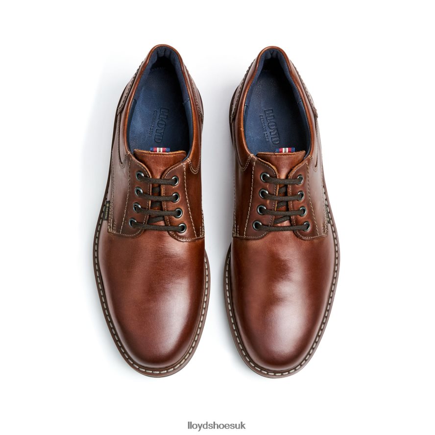 LLOYD Men VANJA H4BXXT125 Shoes brown