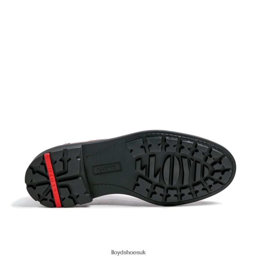 LLOYD Men VANJA H4BXXT125 Shoes brown