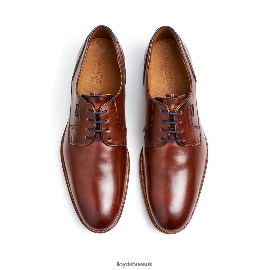 LLOYD Men VICKERS H4BXXT122 Shoes brown