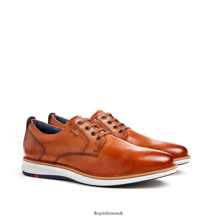 LLOYD Men VIN H4BXXT139 Shoes brown