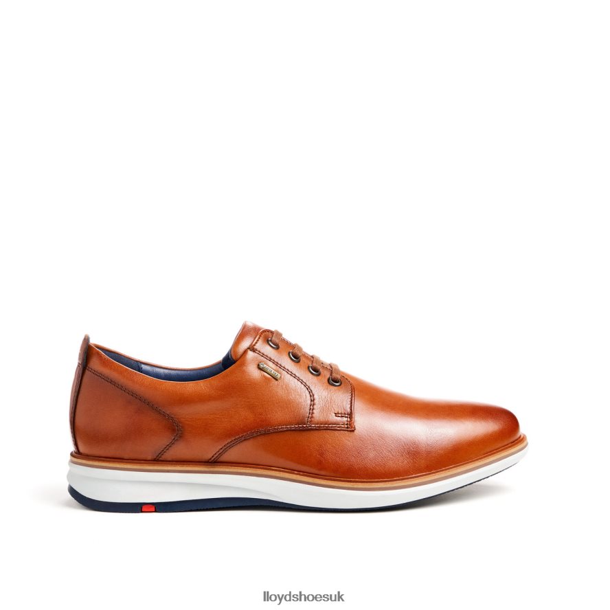 LLOYD Men VIN H4BXXT139 Shoes brown