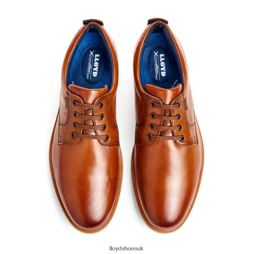 LLOYD Men VIN H4BXXT139 Shoes brown