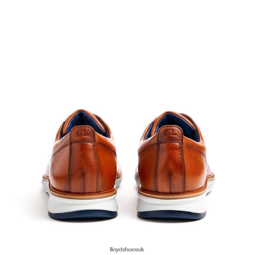 LLOYD Men VIN H4BXXT139 Shoes brown