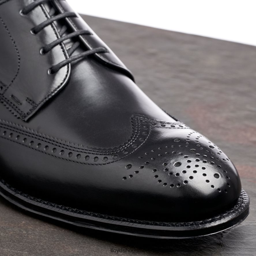 LLOYD Men WARWICK H4BXXT18 Shoes black
