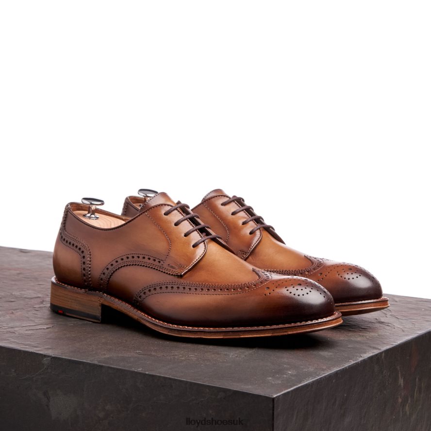 LLOYD Men WARWICK H4BXXT74 Shoes brown