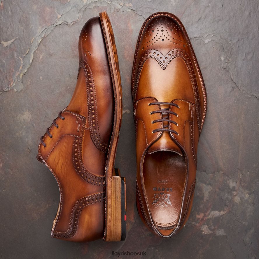 LLOYD Men WARWICK H4BXXT74 Shoes brown