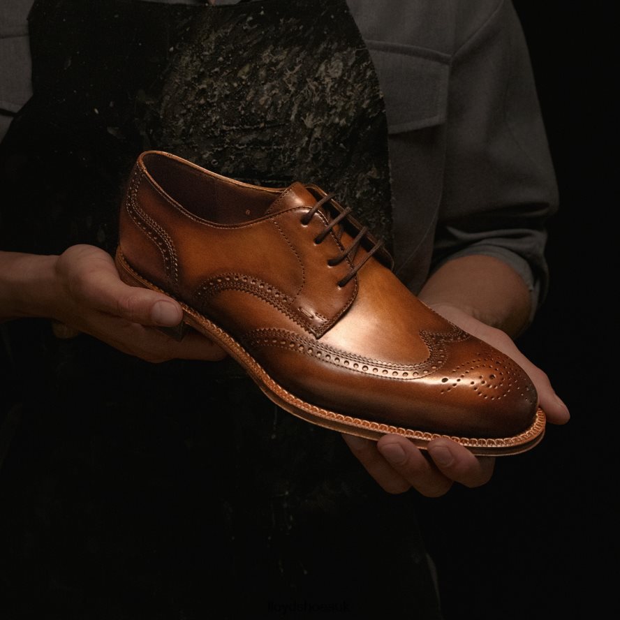 LLOYD Men WARWICK H4BXXT74 Shoes brown