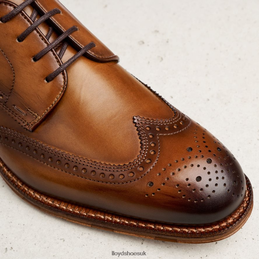 LLOYD Men WARWICK H4BXXT74 Shoes brown