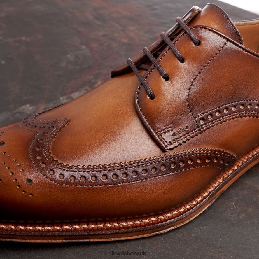 LLOYD Men WARWICK H4BXXT74 Shoes brown