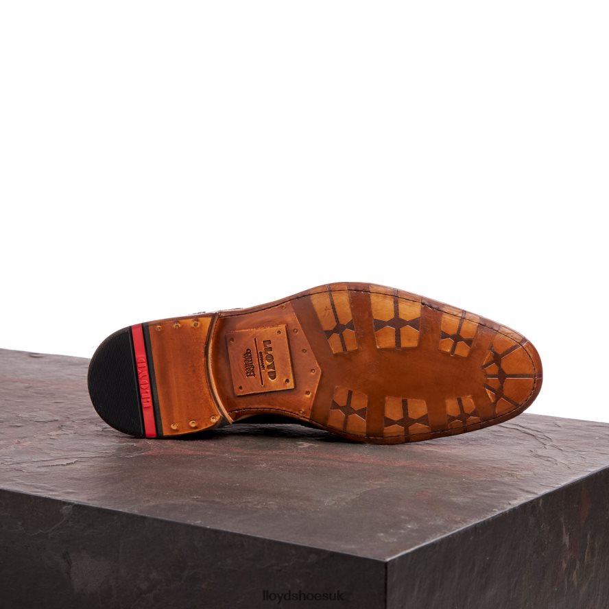 LLOYD Men WARWICK H4BXXT74 Shoes brown