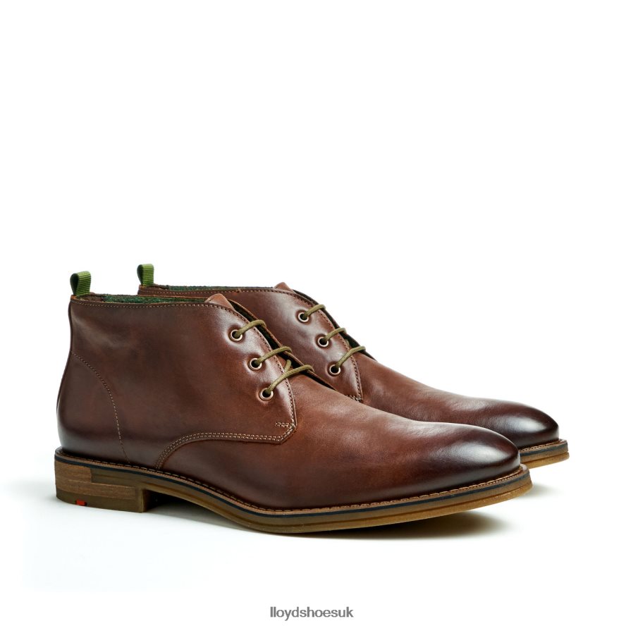 LLOYD Men DARTMOOR H4BXXT44 Shoes brown