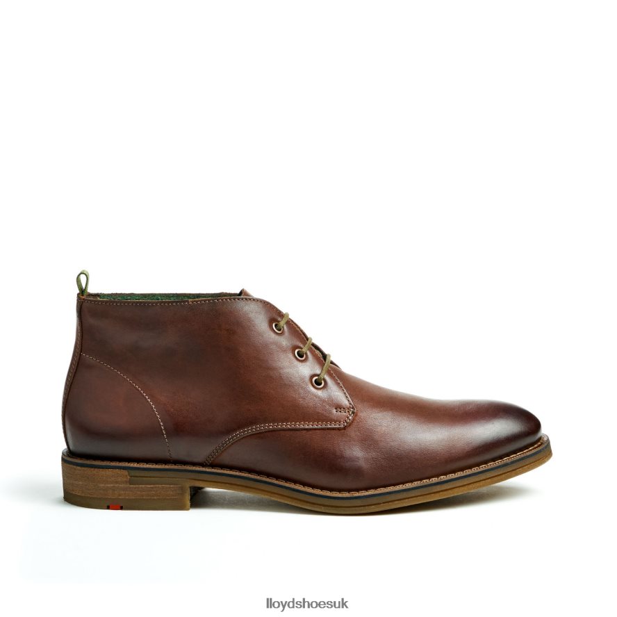 LLOYD Men DARTMOOR H4BXXT44 Shoes brown