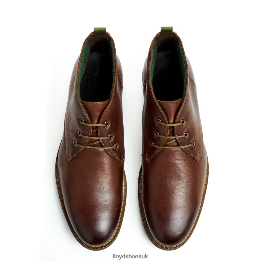 LLOYD Men DARTMOOR H4BXXT44 Shoes brown