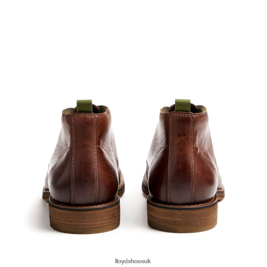 LLOYD Men DARTMOOR H4BXXT44 Shoes brown
