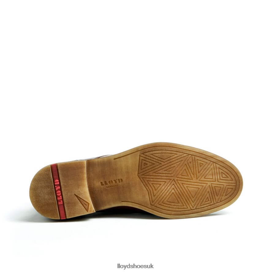 LLOYD Men DARTMOOR H4BXXT44 Shoes brown