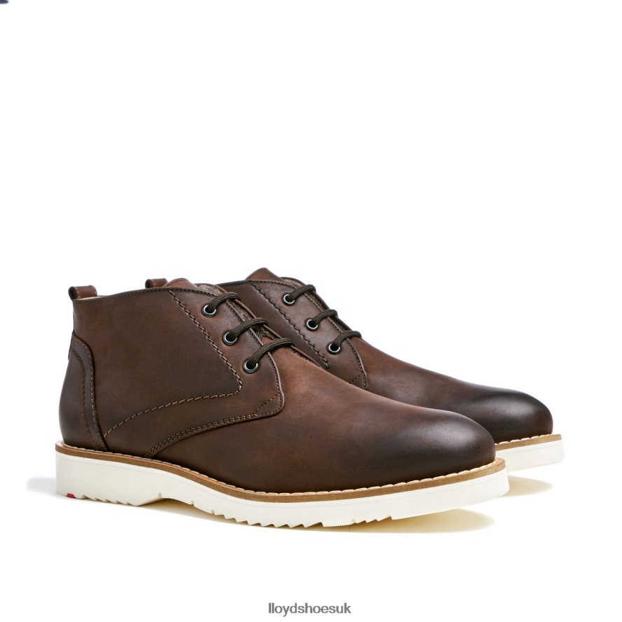 LLOYD Men DEMPSEY H4BXXT60 Shoes brown