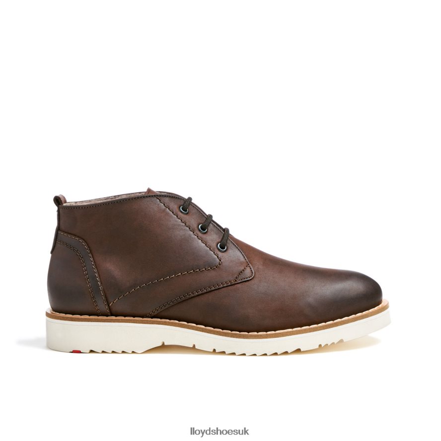LLOYD Men DEMPSEY H4BXXT60 Shoes brown