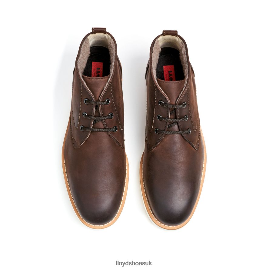 LLOYD Men DEMPSEY H4BXXT60 Shoes brown