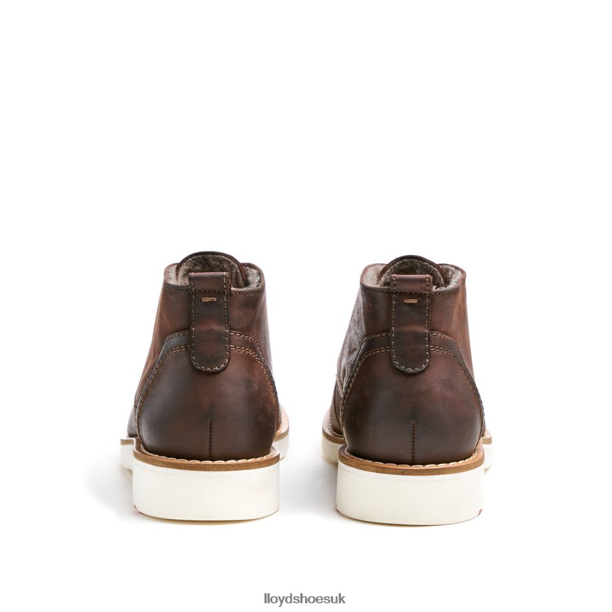 LLOYD Men DEMPSEY H4BXXT60 Shoes brown