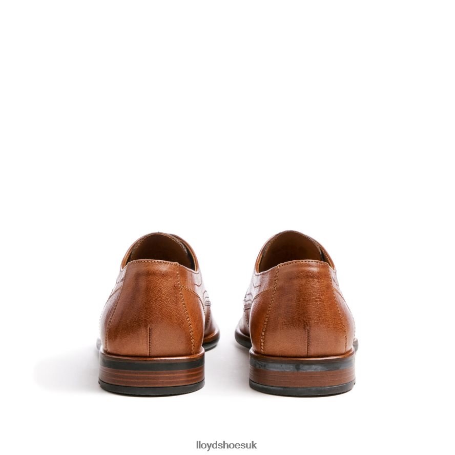 LLOYD Men DON H4BXXT109 Shoes brown