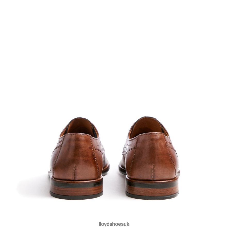 LLOYD Men DON H4BXXT112 Shoes brown