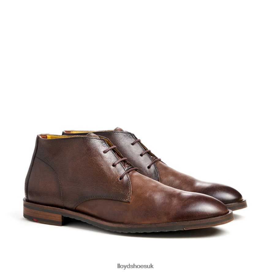 LLOYD Men DUKE H4BXXT43 Shoes brown