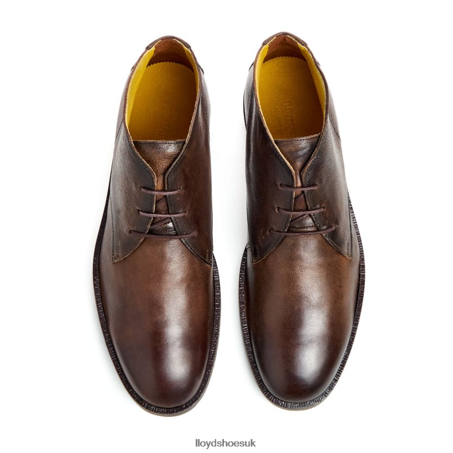 LLOYD Men DUKE H4BXXT43 Shoes brown