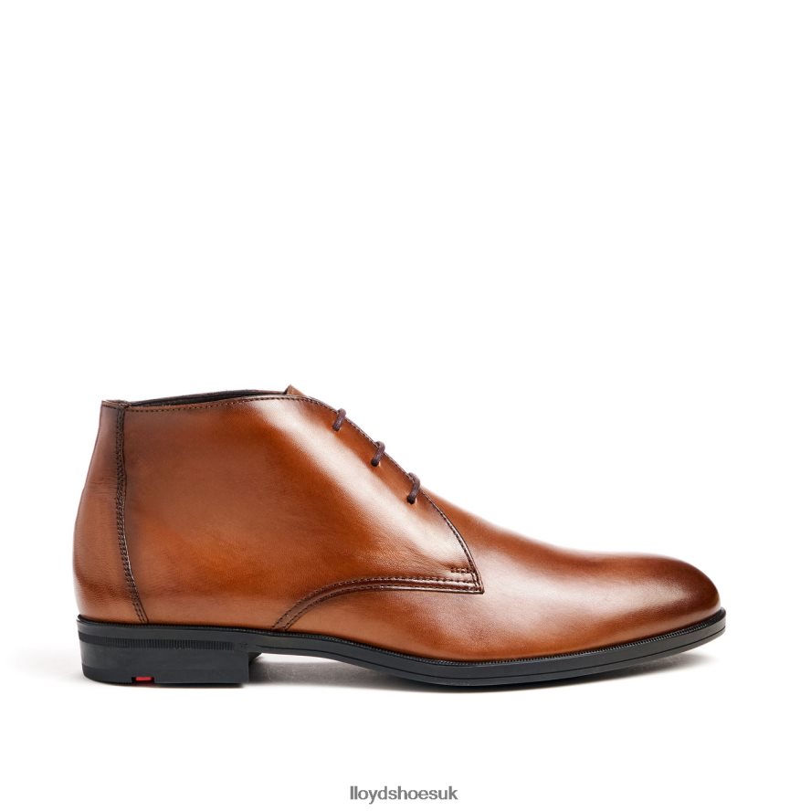 LLOYD Men FELICIANO H4BXXT54 Shoes brown
